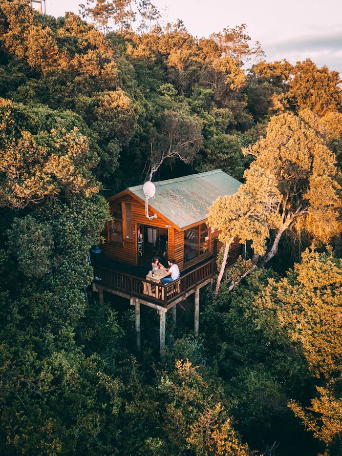 services-01 Aerial shot of a secluded treehouse nestled amidst lush woods in South Africa.