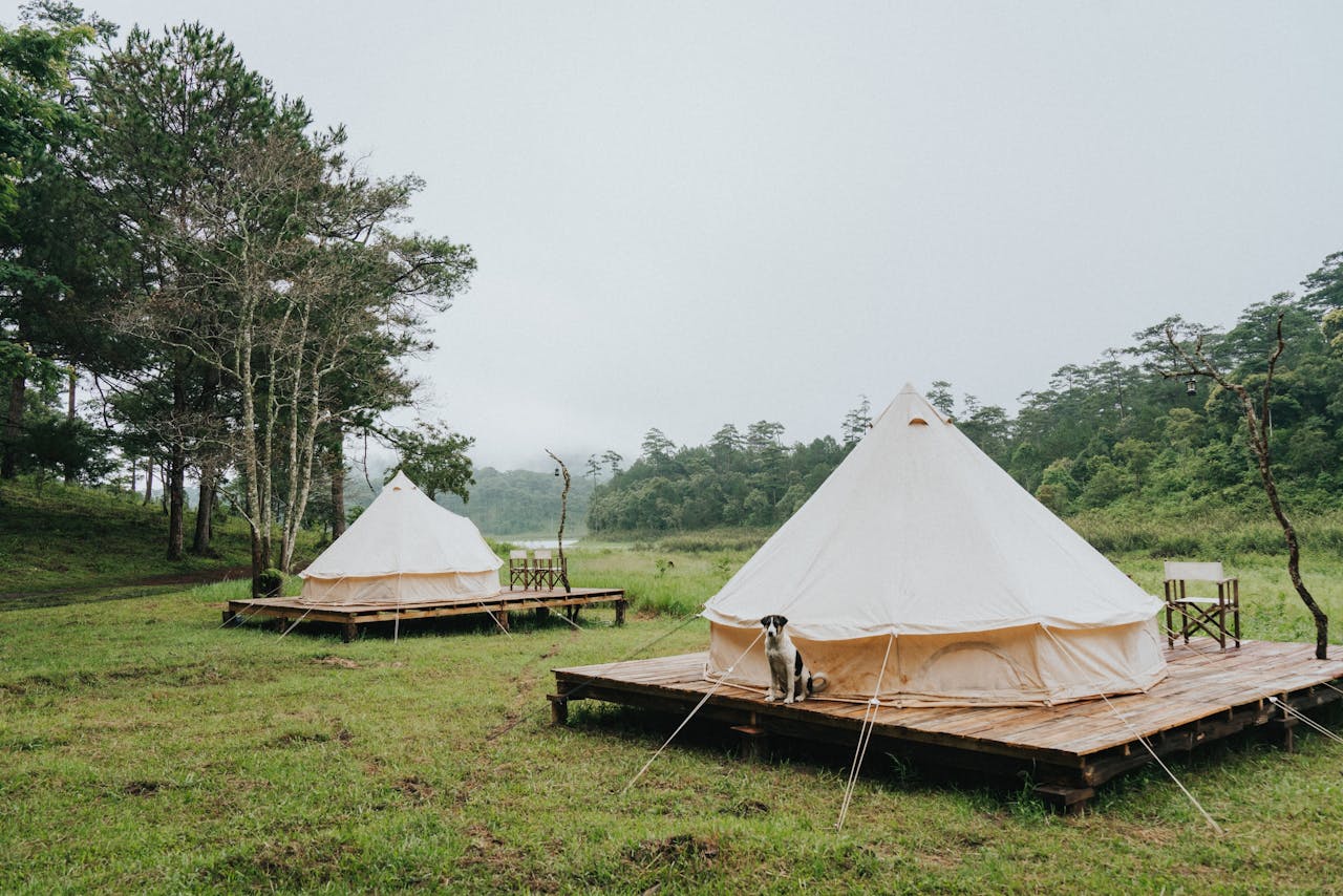about-img-02 Peaceful camping scene with bell tents in Đà Lạts lush forest landscape, ideal for nature retreats.