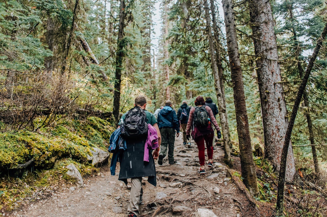 services-img-02 A group of hikers trekking through a lush, forested path in daylight, enjoying nature.